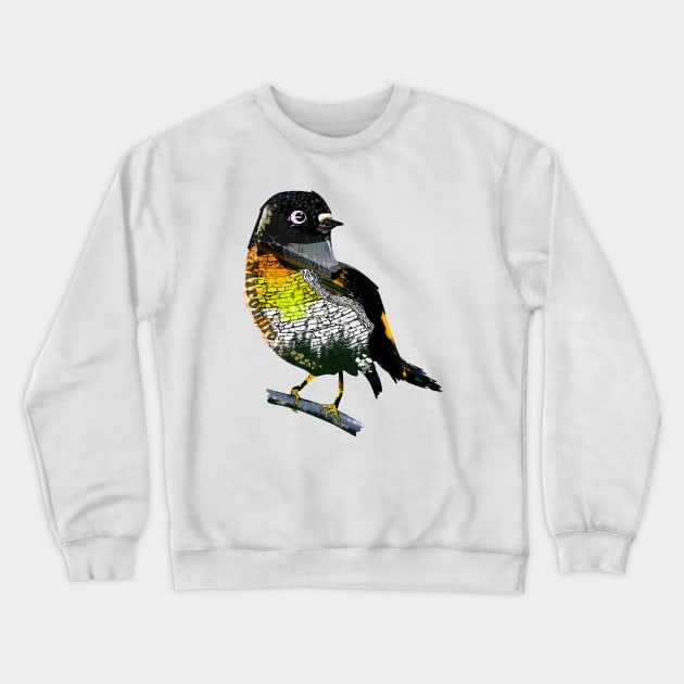 Tomtit miriomiro graffit style Crewneck Sweatshirt by mailboxdisco